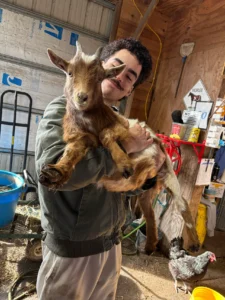 goats 3